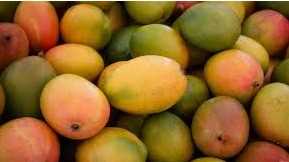 I want to buy mango