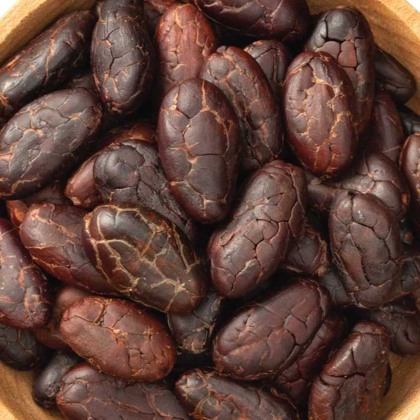 i'm looking for Cacao bean