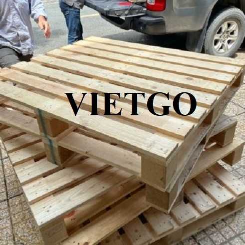 Cơ hội hợp tác xuất khẩu pallet tới thị trường Hoa Kỳ