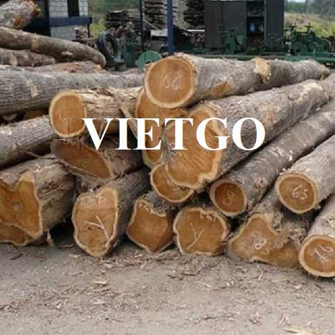 Thương vụ xuất khẩu gỗ teak tròn sang thị trường Ấn Độ 