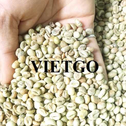 Cơ hội giao thương xuất khẩu hạt cà phê Arabica sang thị trường Trung Quốc