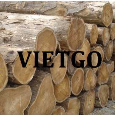 Thương vụ xuất khẩu gỗ teak tròn sang thị trường Ấn Độ 