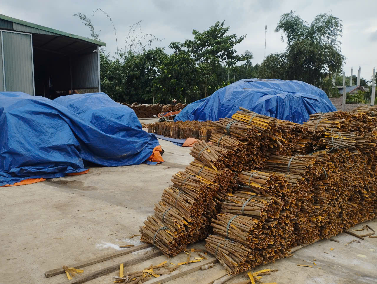 Cần tìm đơn vị vận tải vận chuyển hàng quế đi Thổ Nhĩ Kỳ