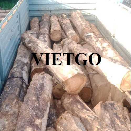 Thương vụ xuất khẩu sản phẩm gỗ teak xẻ đến thị trường Ấn Độ