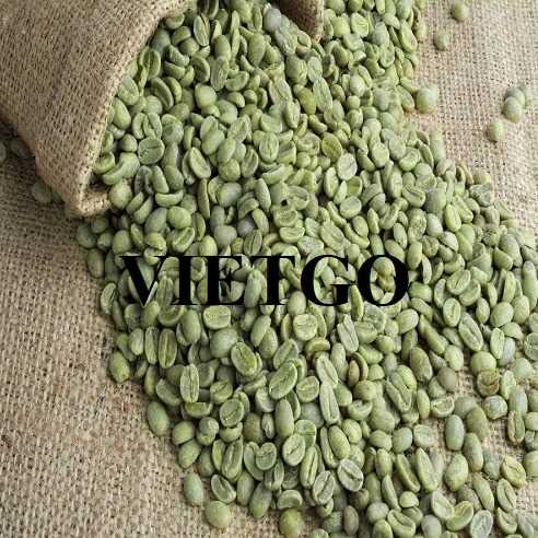 Cơ hội hợp tác xuất khẩu hạt cà phê xanh Robusta và Arabica sang thị trường Ai Cập