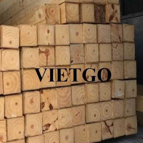 Cơ hội hợp tác xuất khẩu gỗ keo xẻ tới thị trường Ba Lan