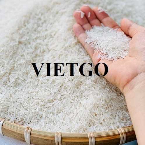 Thương vụ xuất khẩu gạo Jasmine sang thị trường Bồ Đào Nha và Senegal