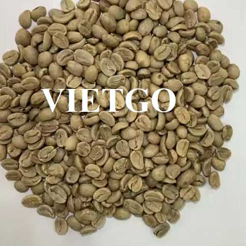 Cơ hội xuất khẩu hạt cà phê xanh Robusta và Arabica sang Thổ Nhĩ Kỳ