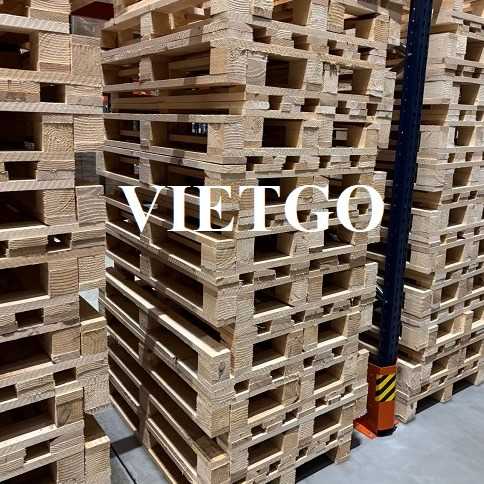 Thương vụ xuất khẩu pallet gỗ đến thị trường Ba Lan