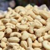 I want to buy cashew nut