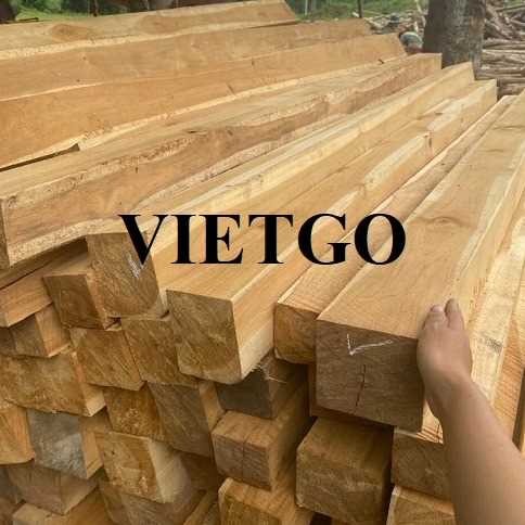 (Gấp)Vị doanh nhân người Bỉ đang cần tìm mua sản phẩm gỗ teak xẻ 