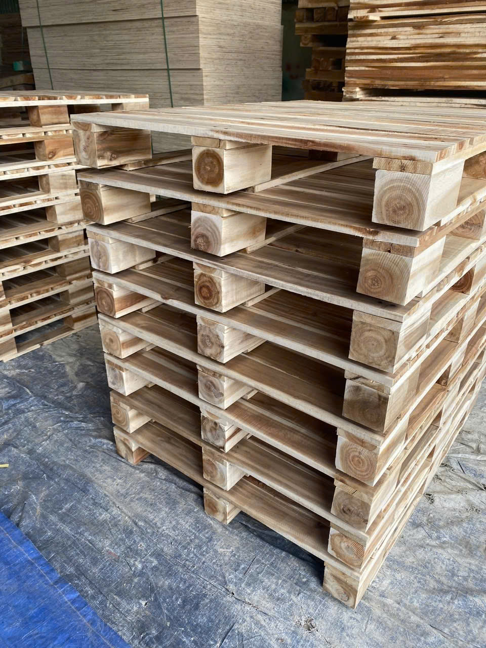 Cần tìm cước biển cho hàng pallet 