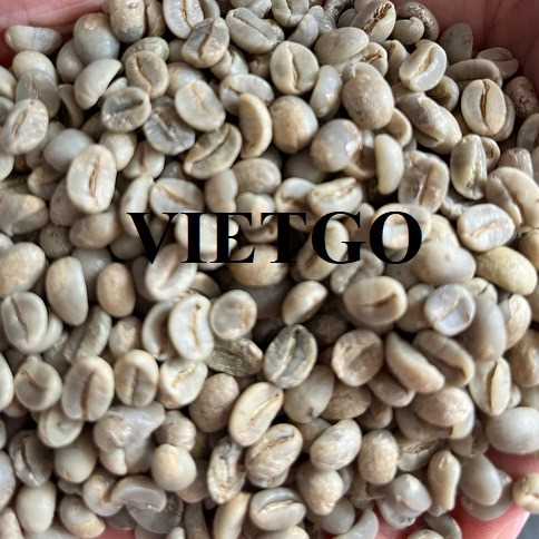 Cơ hội xuất khẩu hạt cà phê xanh Arabica và Robusta sang thị trường Nam Phi