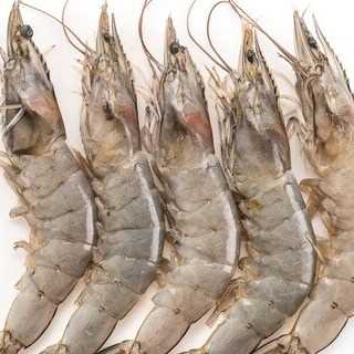 i need shrimp