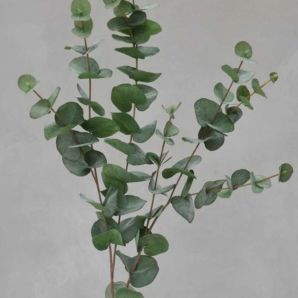 i want to buy artificial leaves
