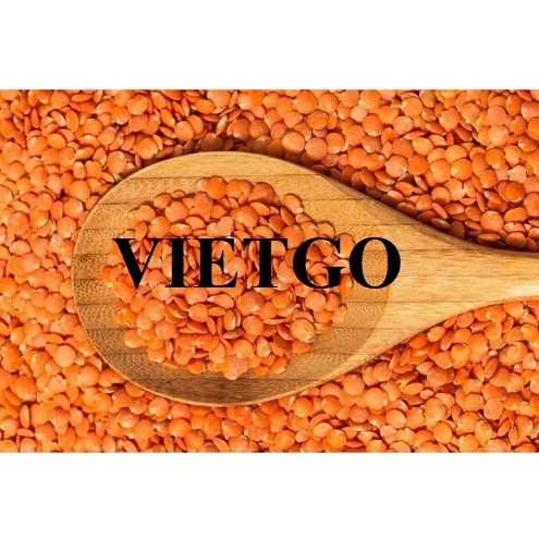 ( Gấp) Cơ hội hợp tác xuất khẩu đậu lăng đỏ tới thị trường UAE