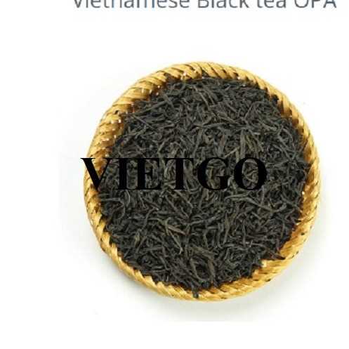 Cơ hội xuất khẩu chè đen Pekoe, chè đen OPA sang Ai Cập