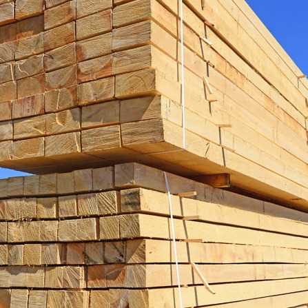 i want to buy poplar wood