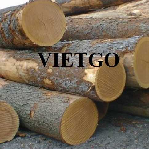 Thương vụ xuất khẩu gỗ sồi sang thị trường Ấn Độ