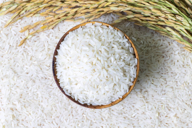 cần mua sản phẩm Gạo (white rice 5% broken, white rice 15% broken...) 