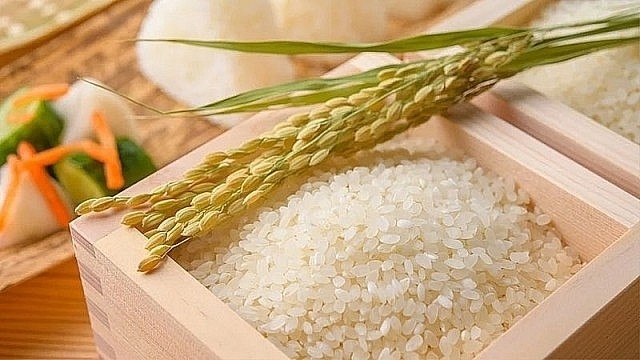 Cần mua các loại Gạo (ST21, DT8, OM18, OM5451, Jasmine, Nang Hoa) xuất sang các thị trường Đông Nam Á