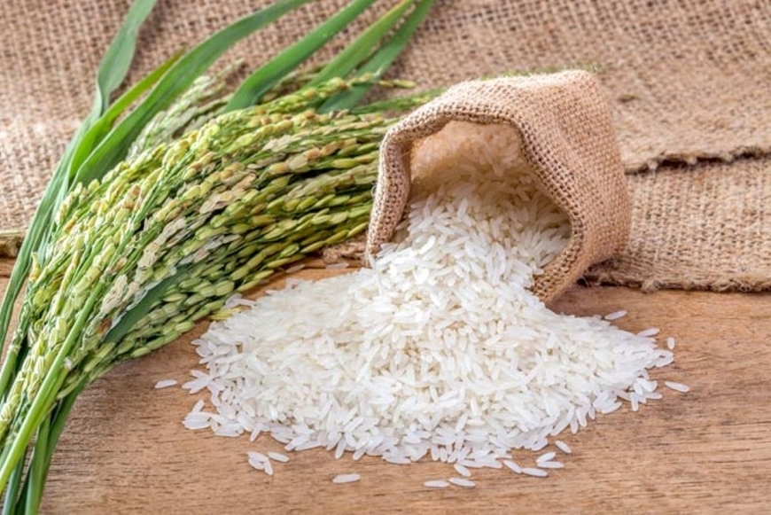 Cần mua mỗi loại Gạo (Japonica, Long An glutinous, An Giang glutinous) 5 container 40ft để xuất khẩu