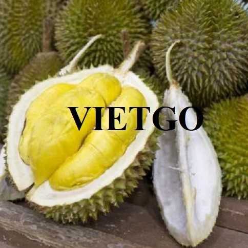Cơ hội xuất khẩu sầu riêng sang thị trường Thái Lan