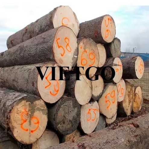 Cơ hội xuất khẩu gỗ cao su tròn sang thị trường UAE