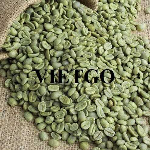 Cơ hội xuất khẩu cà phê Robusta sang thị trường Nga