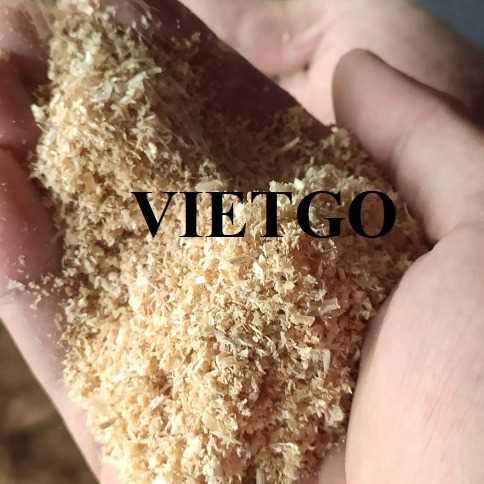 Thương vụ xuất khẩu dăm bào đến thị trường Síp