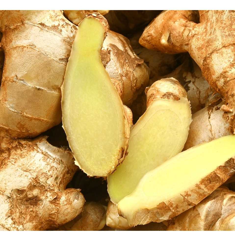I want to buy ginger