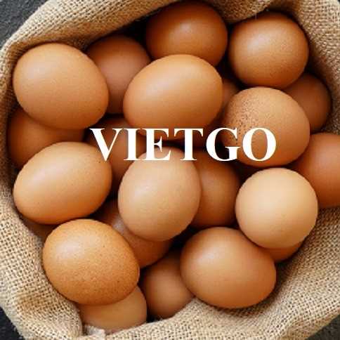 Cơ hội hợp tác xuất khẩu trứng với vị khách hàng người Đức 