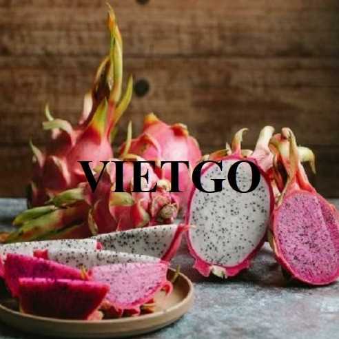 Thương vụ xuất khẩu thanh long sang thị trường Ấn Độ