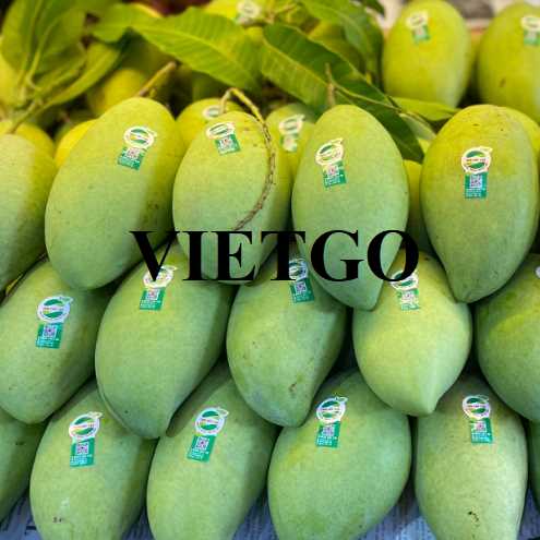 Cơ hội hợp tác xuất khẩu xoài đến thị trường New Zealand 