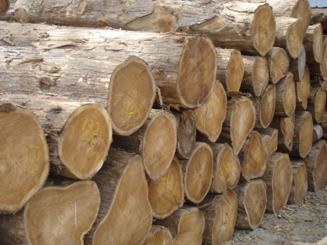 Gỗ teak