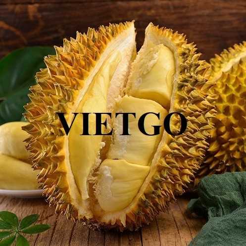 Cơ hội hợp tác xuất khẩu sầu riêng Golden pillow tới thị trường Trung Quốc