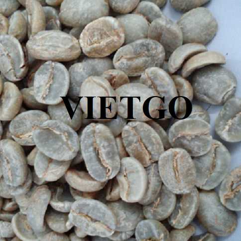 (Gấp) Cơ hội hợp tác xuất khẩu cà phê đến thị trường Ý 