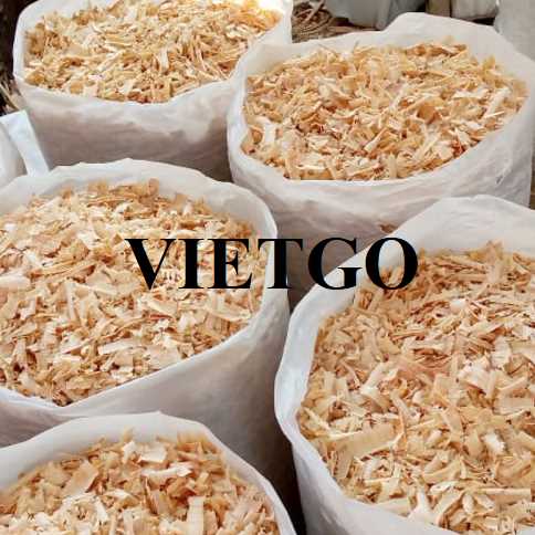 Cơ hội hợp tác xuất khẩu dăm bào tới thị trường Bỉ