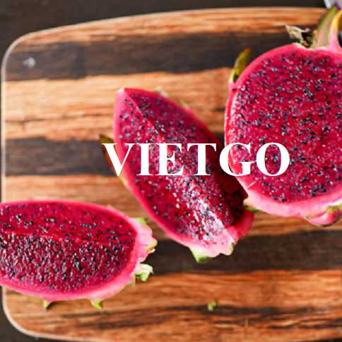 Cơ hội hợp tác xuất khẩu thanh long đến thị trường Ấn Độ   