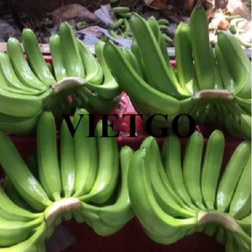 Cơ hội xuất khẩu chuối sang thị trường Hàn Quốc