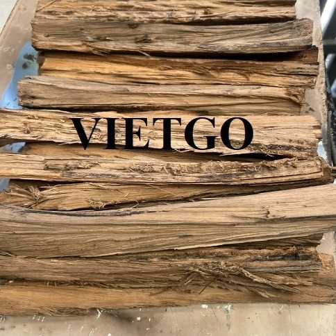 Thương vụ xuất khẩu sản phẩm củi gỗ đến thị trường Ấn Độ