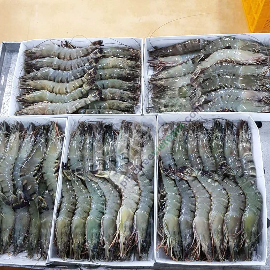 I want to buy black tiger shrimp
