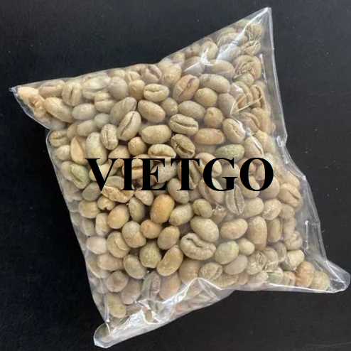 Cơ hội xuất khẩu hạt cà phê xanh Robusta sang thị trường Trung Quốc