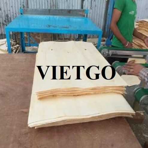 Cơ hội xuất khẩu ván bóc sang thị trường Ấn Độ