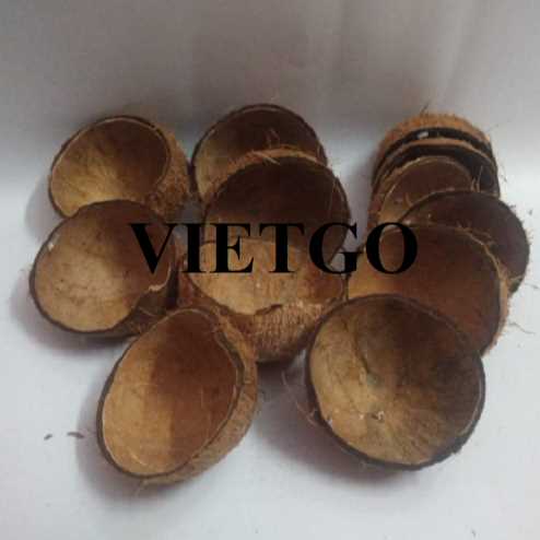 Cơ hội hợp tác xuất khẩu gáo dừa đến thị trường Trung Quốc 
