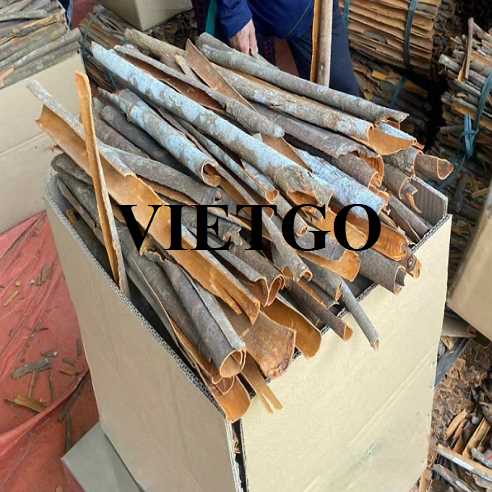 Cơ hội hợp tác xuất khẩu quế, hồi đến thị trường Mỹ  