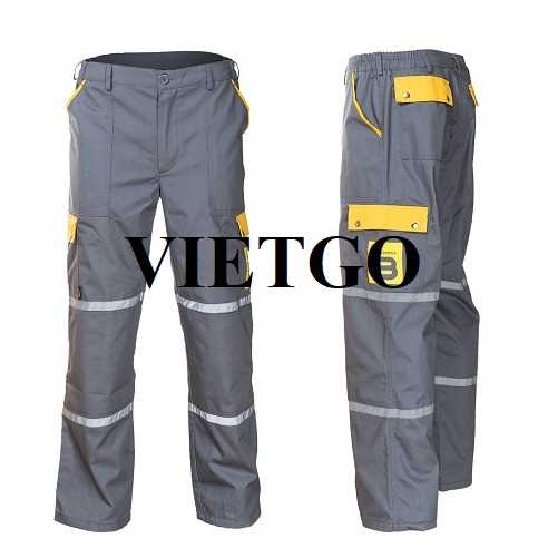 Cơ hội hợp tác xuất khẩu quần cargo tới Hoa Kỳ