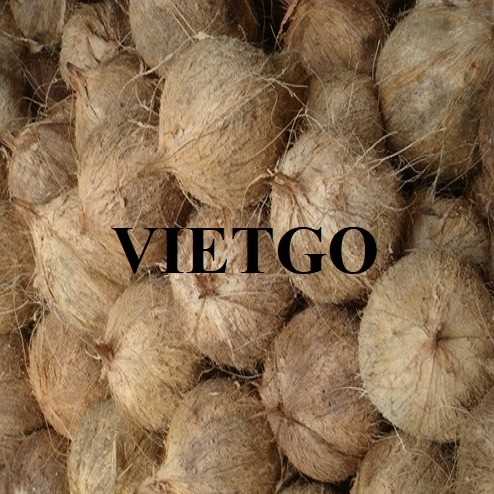 Cơ hội hợp tác xuất khẩu dừa đến thị trường Bangladesh