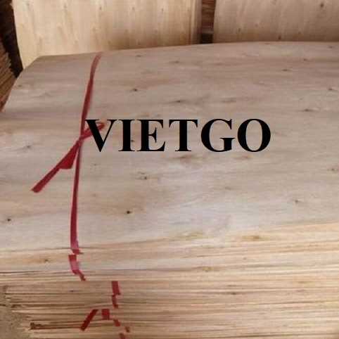 Thương vụ xuất khẩu ván bóc sang thị trường Ai Cập