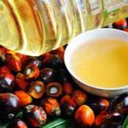 I want to buy  PALM OIL REFINED - CP10